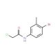 N-(4-Bromo-3-methylphenyl)-2-chloroacetamide - chemical structure image