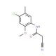 N-(4-Chloro-2-methoxy-5-methyl-phenyl)-2-cyano-acetamide - chemical structure image