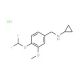 N-[4-(difluoromethoxy)-3-methoxybenzyl]cyclopropanamine hydrochloride - chemical structure image