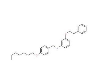 N-[4-(Heptyloxy)benzyl]-3-(phenethyloxy)aniline - chemical structure image
