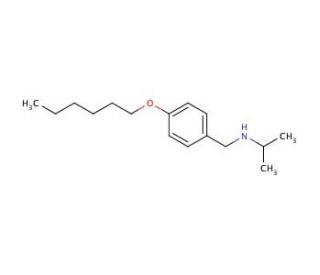 N-[4-(Hexyloxy)benzyl]-2-propanamine (CAS 1040683-27-9) - chemical structure image
