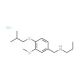 N-(4-isobutoxy-3-methoxybenzyl)-N-propylamine hydrochloride - chemical structure image