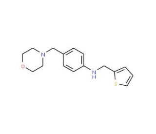 N-[4-(morpholin-4-ylmethyl)phenyl]-N-(thien-2-ylmethyl)amine - chemical structure image