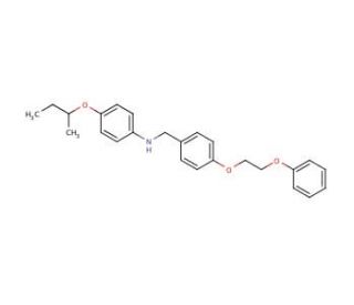 N-[4-(sec-Butoxy)phenyl]-N-[4-(2-phenoxyethoxy)-benzyl]amine (CAS 1040685-45-7) - chemical structure image