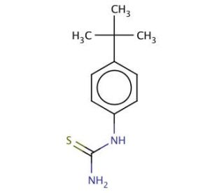 N-(4-tert-butylphenyl)thiourea - chemical structure image