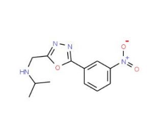 N-{[5-(3-nitrophenyl)-1,3,4-oxadiazol-2-yl]methyl}propan-2-amine - chemical structure image