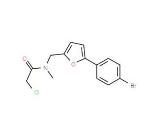 N-{[5-(4-bromophenyl)-2-furyl]methyl}-2-chloro-N-methylacetamide - chemical structure image