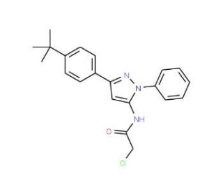 N-[5-(4-tert-Butyl-phenyl)-2-phenyl-2H-pyrazol-3-yl]-2-chloro-acetamide - chemical structure image