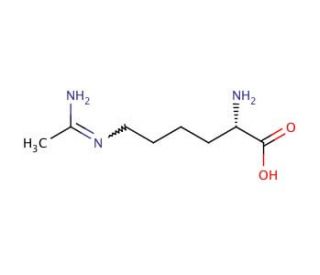 N-(5-Amino-5-carboxypentyl)acetamidine (CAS 53774-63-3) - chemical structure image