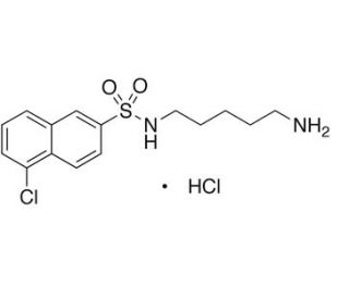 N-(5-Aminopentyl)-5-chloro-2-naphthalenesulfonamide Hydrochloride (CAS 118896-95-0) - chemical structure image