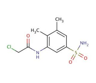 N-[5-(aminosulfonyl)-2,3-dimethylphenyl]-2-chloroacetamide - chemical structure image
