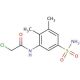 N-[5-(aminosulfonyl)-2,3-dimethylphenyl]-2-chloroacetamide - chemical structure image
