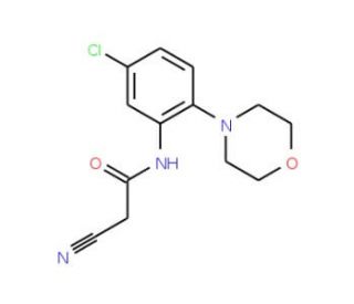 N-(5-Chloro-2-morpholin-4-yl-phenyl)-2-cyano-acetamide - chemical structure image