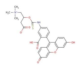 N-(5-Fluoresceinyl)-L-carnitine-O-thiocarbamate (CAS 1258239-73-4) - chemical structure image