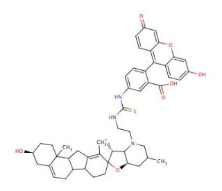N-(5-Fluoresceinyl)-N&prime;-(2-cyclopamineethyl)thiourea - chemical structure image