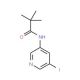 N-(5-Iodo-pyridin-3-yl)-2,2-dimethyl-propionamide (CAS 873302-38-6) - chemical structure image