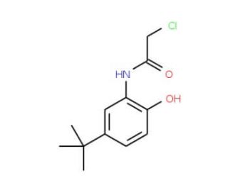 N-(5-tert-Butyl-2-hydroxy-phenyl)-2-chloro-acetamide - chemical structure image