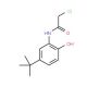 N-(5-tert-Butyl-2-hydroxy-phenyl)-2-chloro-acetamide - chemical structure image