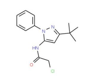 N-(5-tert-Butyl-2-phenyl-2H-pyrazol-3-yl)-2-chloro-acetamide - chemical structure image