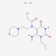 N-(6-amino-2,4-dioxo-1-propyl-1,2,3,4-tetrahydropyrimidin-5-yl)-2-chloro-N-(2-morpholin-4-ylethyl)acetamide hydrochloride - c