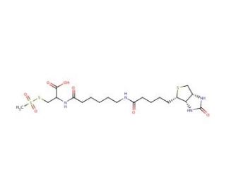 N-[6-(Biotinamido)hexanoyl]-(R)-2-amino-2-carboxyethylmethanethiosulfonate - chemical structure image