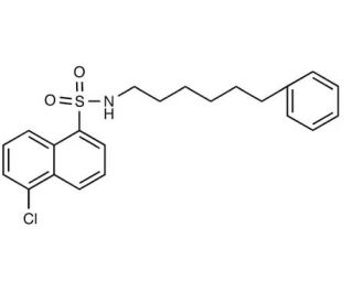 N-(6-Phenylhexyl)-5-chloro-1-naphthalenesulfonamide (CAS 102649-78-5) - chemical structure image
