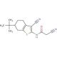 N-(6-tert-Butyl-3-cyano-4,5,6,7-tetrahydro-1-benzothien-2-yl)-2-cyanoacetamide - chemical structure image