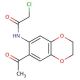 N-(7-Acetyl-2,3-dihydro-benzo[1,4]dioxin-6-yl)-2-chloro-acetamide - chemical structure image