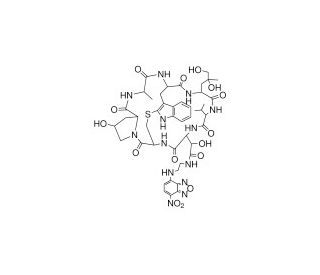 N-(7-Nitrobenzofurazan-4-yl)phallacidin (CAS 73413-78-2) - chemical structure image