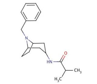 N-(8-Benzyl-8-azabicyclo[3.2.1]oct-3-yl-exo)-2-methylpropanamide (CAS 376348-67-3) - chemical structure image