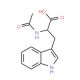 N-Acetyl-DL-tryptophan (CAS 87-32-1) - chemical structure image
