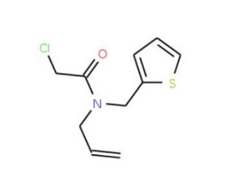 N-allyl-2-chloro-N-(thien-2-ylmethyl)acetamide - chemical structure image