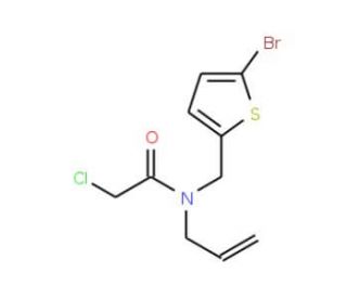 N-allyl-N-[(5-bromothien-2-yl)methyl]-2-chloroacetamide - chemical structure image