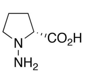 N-Amino-D-proline (CAS 10139-05-6) - chemical structure image