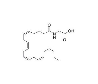 N-Arachidonoyl glycine (solution in ethanol) (CAS 179113-91-8) - chemical structure image