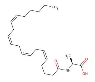 N-Arachidonoyl-(L)-alanine (NA-Ala) (CAS 401941-73-9) - chemical structure image