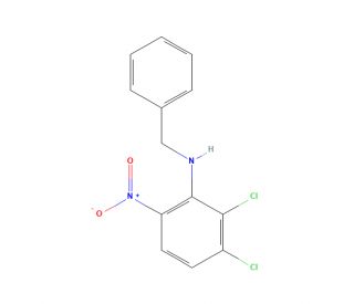 N-Benzyl-2,3-dichloro-6-nitroaniline (CAS 680212-51-5) - chemical structure image