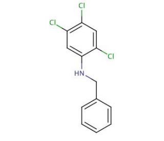 N-Benzyl-2,4,5-trichloroaniline - chemical structure image