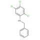 N-Benzyl-2,4,5-trichloroaniline - chemical structure image