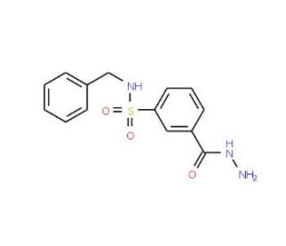 N-benzyl-3-(hydrazinocarbonyl)benzenesulfonamide - chemical structure image
