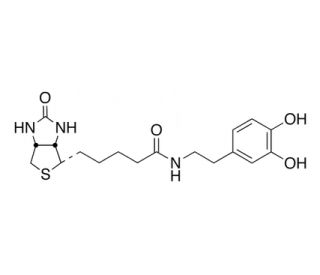 N-Biotinyl Dopamine (CAS 241142-94-9) - chemical structure image