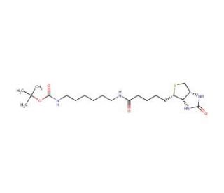 N-Biotinyl-N&prime;-Boc-1,6-hexanediamine (CAS 153162-70-0) - chemical structure image