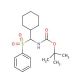 N-Boc-α-(phenylsulfonyl)cyclohexylmethylamine (CAS 253426-70-9) - chemical structure image