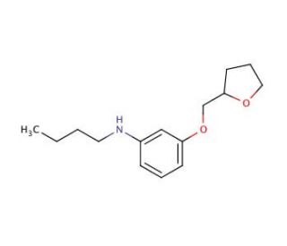 N-Butyl-3-(tetrahydro-2-furanylmethoxy)aniline - chemical structure image