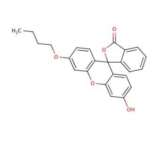 N-Butylfluorescein (CAS 335193-91-4) - chemical structure image