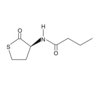 N-butyryl-L-Homocysteine thiolactone (CAS 202284-85-3) - chemical structure image