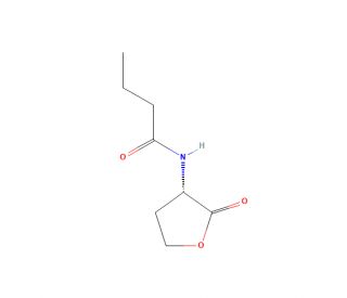 N-butyryl-L-Homoserine lactone (CAS 67605-85-0) - chemical structure image