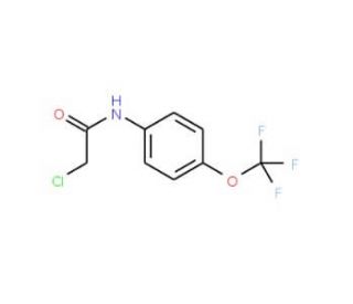 N-(Chloroacetyl)-4-(trifluoromethoxy)aniline (CAS 161290-85-3) - chemical structure image