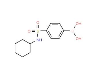 N-Cyclohexyl 4-boronobenzenesulfonamide (CAS 871329-66-7) - chemical structure image