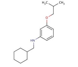 N-(Cyclohexylmethyl)-3-isobutoxyaniline - chemical structure image